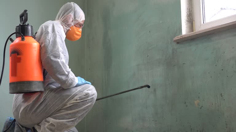 Professional Mold Removal in Langhorne, PA